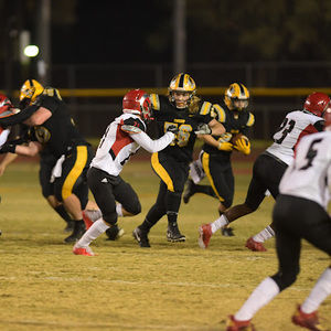 Meet your Posher, Logan